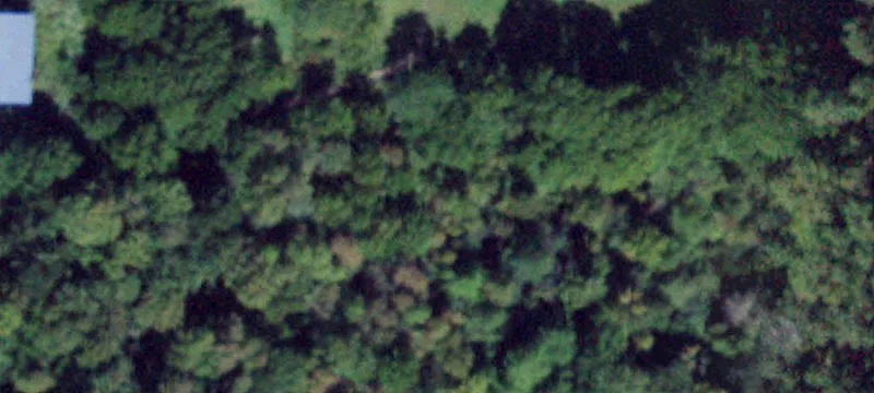Hadden Rd