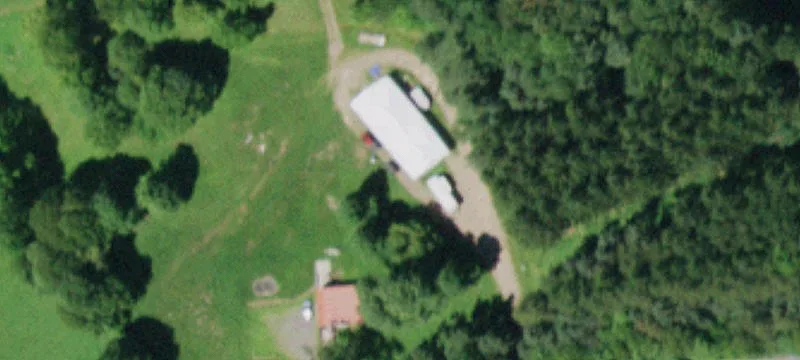Walton, NY 13856