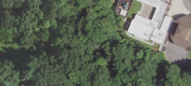 Greeley Woods