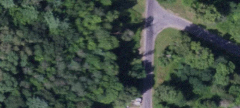 Bones Rd
