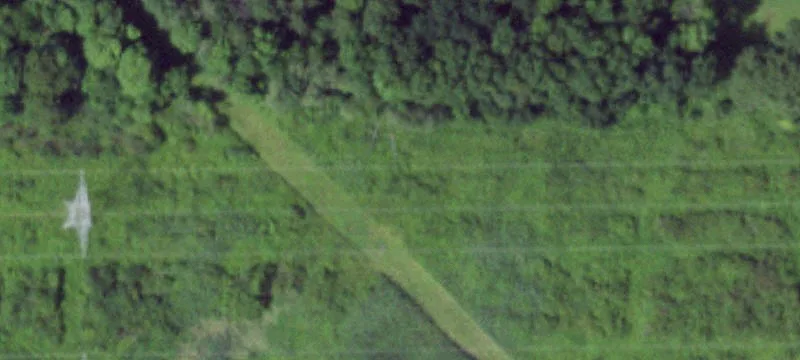 State Rte 31