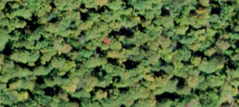 2000 Frost Vly Rd