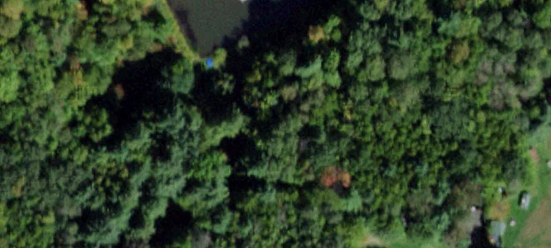 63 Hammond Hl Rd