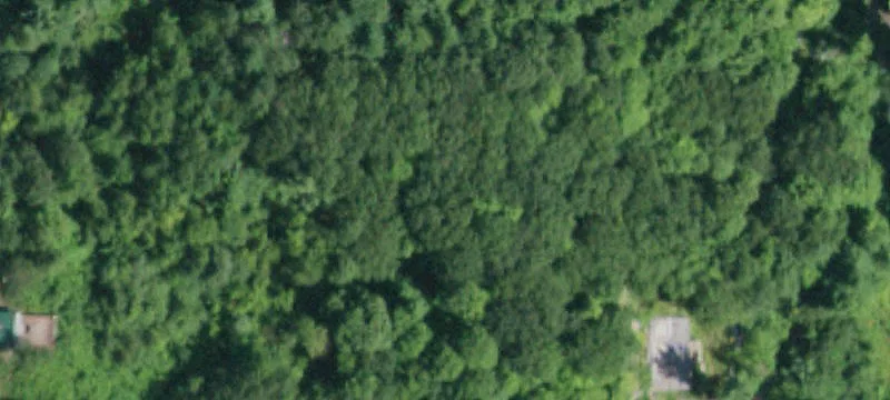 Beaver Dm Rd