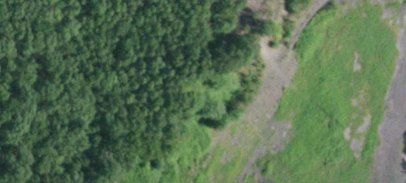 Shear Rd