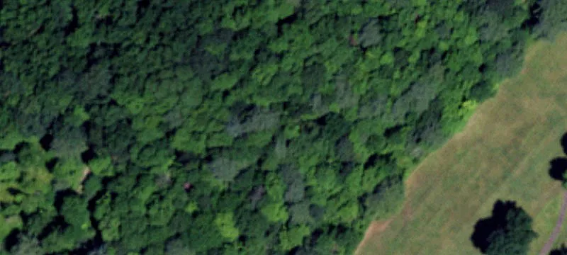 Hibbard Rd, NY