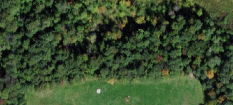 6177 Reynolds Rd