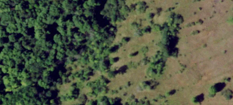 Nys Rte 411