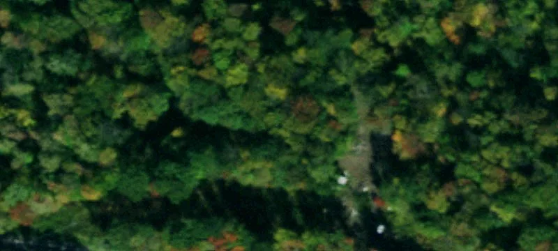 Nys Rte 16