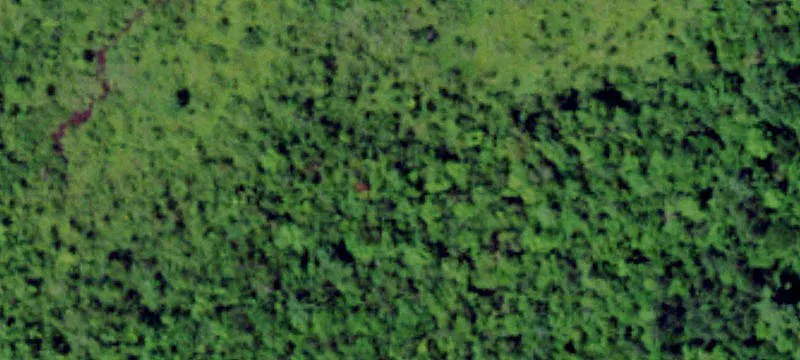 Harrisville, NY 13648
