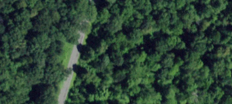 Knickerbocker Rd