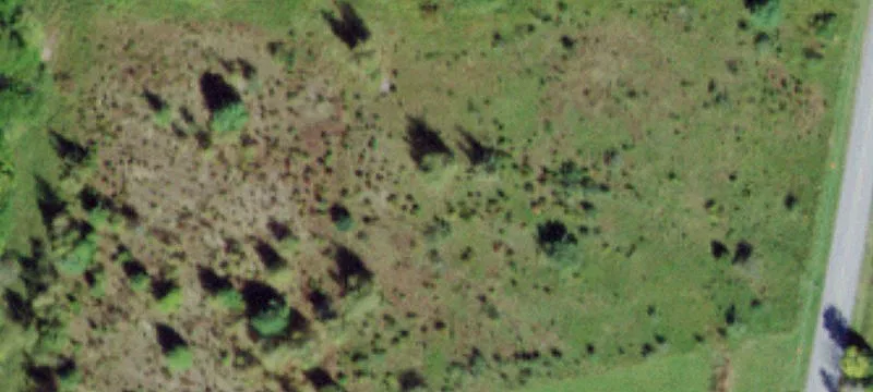 Polster Rd
