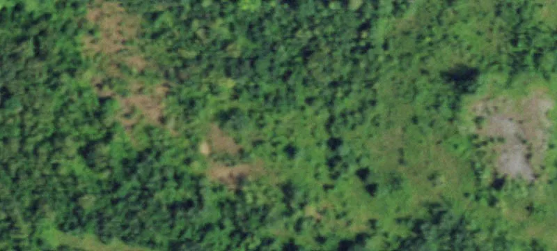 Service Rd