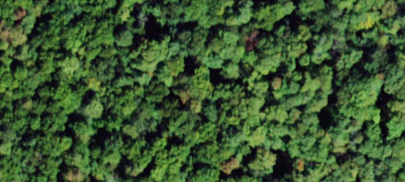 Hunter Rd