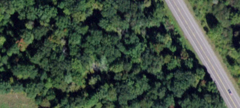State Rte 434s
