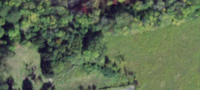 State Rte 31