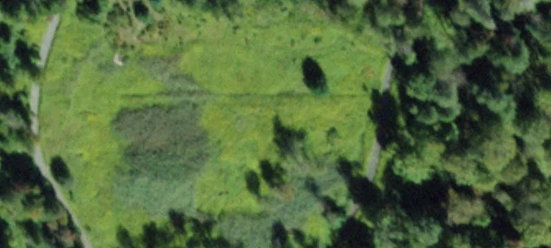 Old Rte 17