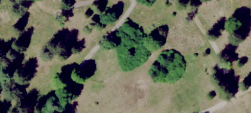 Gouverneur, NY 13642