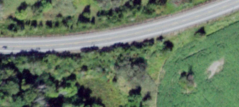 Murray Rd