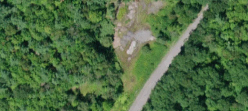 Boy Scout Rd
