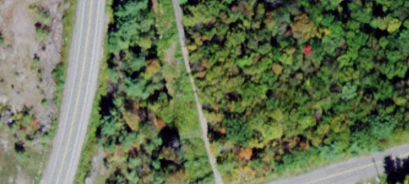 State Rte 42