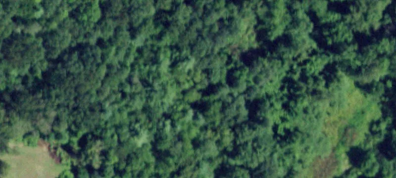 Mcintyre St