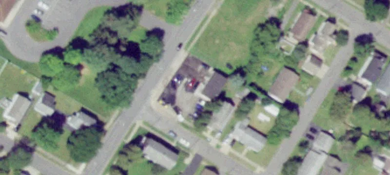Butternut St