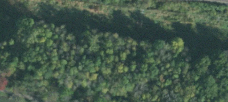 Canandaigua Rd