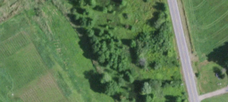 55 Cir Rd