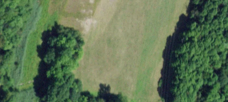 White Oak Dr