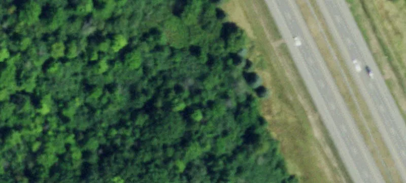 Bedell Rd