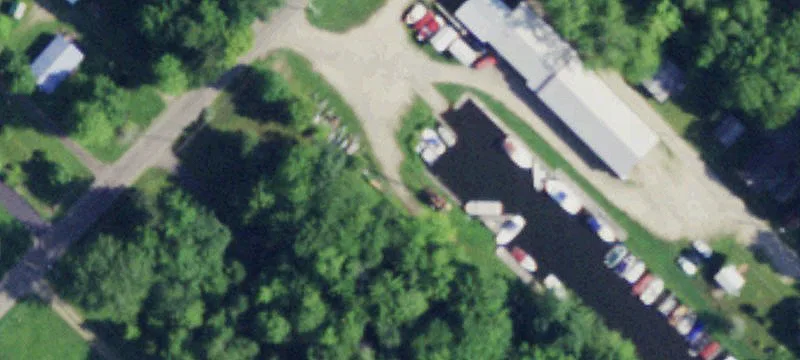 Sea Lion Dr