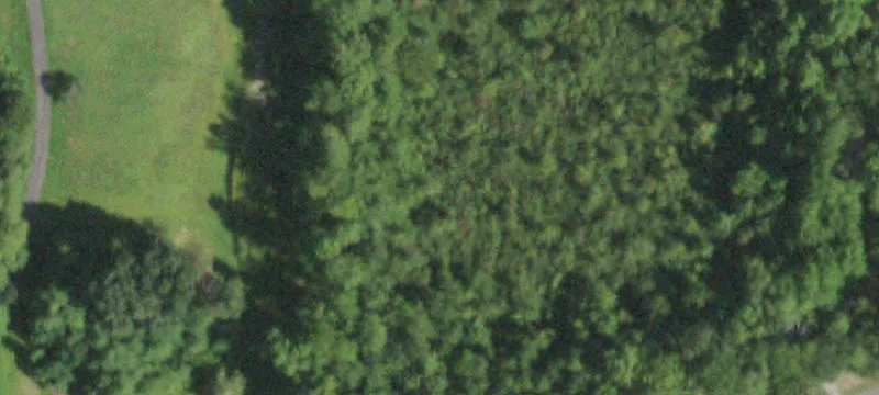 200 State Rte 299