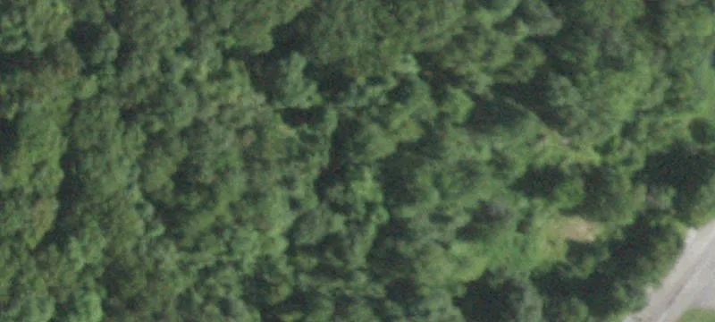 Rte 9w