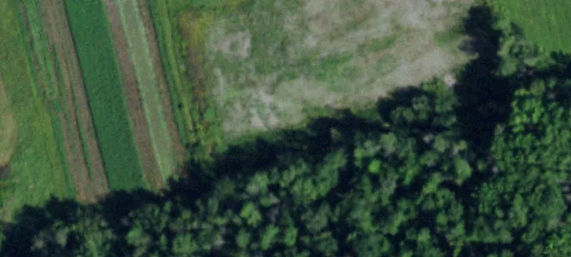 Oak Orch Rd