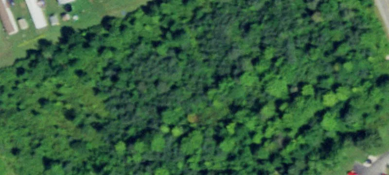 Alleghany Rd