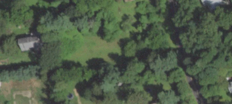 Palmer Ln