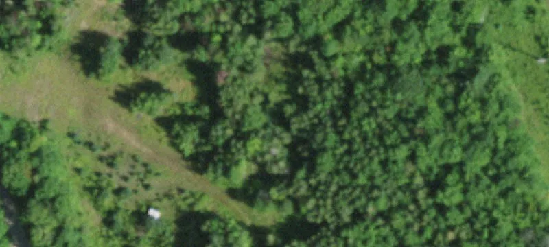 50 Covey Rd