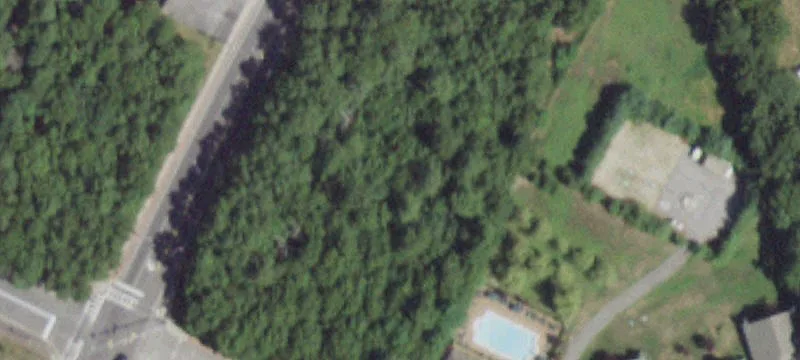 Mastic Rd