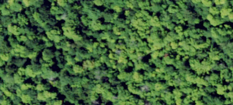 Edwards, NY 13635