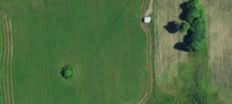 Dodgeson Rd