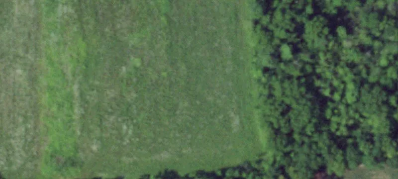 Stump Rd