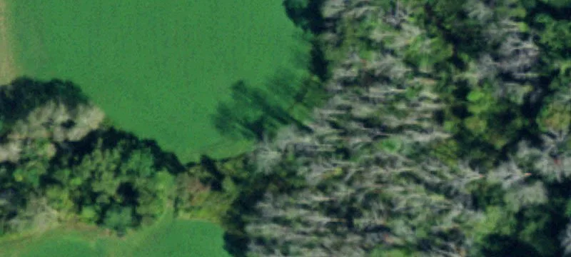 1972 Milestrip Rd