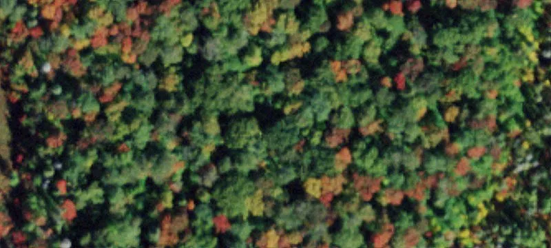 Rondaxe Rd