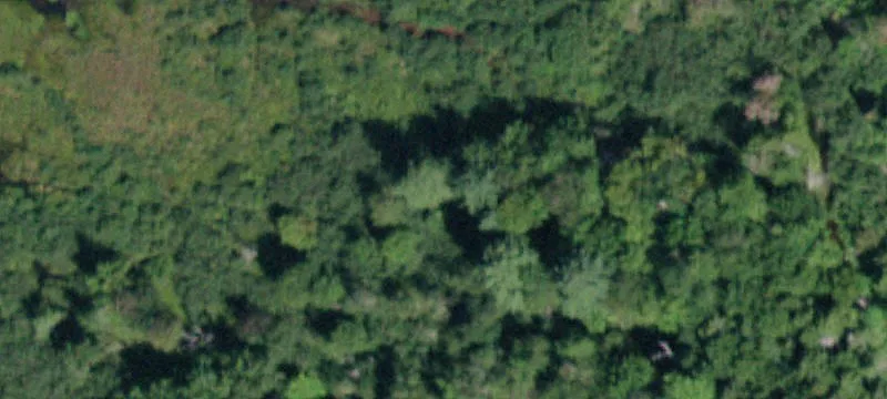 Tannersville, NY 12485