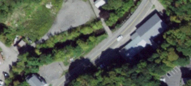 Cayuga E St