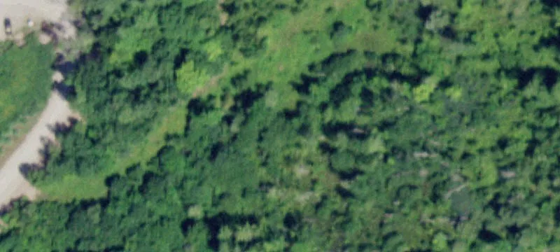 State Rte 149