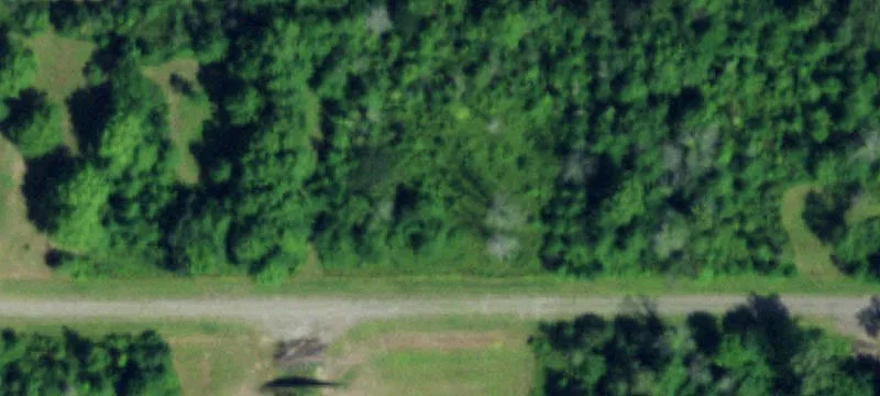 Balmer Rd