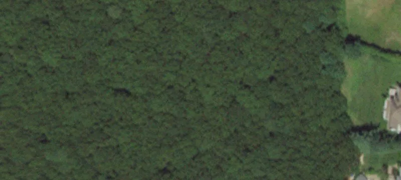 Pond Path