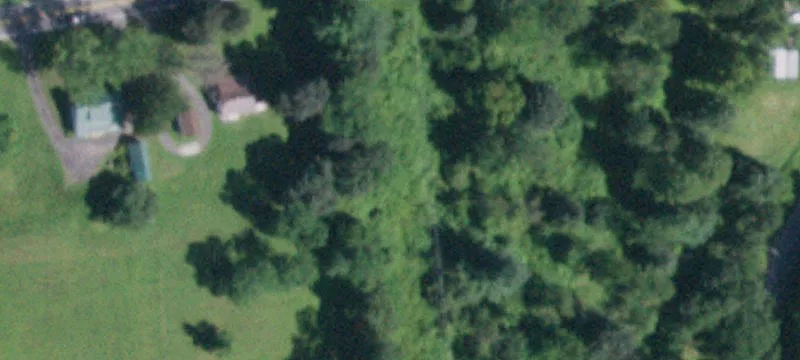 5611 State Rte 81